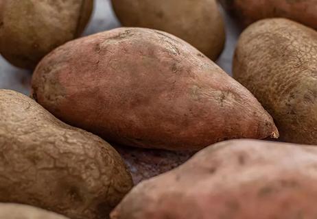 Close up of sweet potatoes.