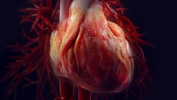 heart affected by pericarditis