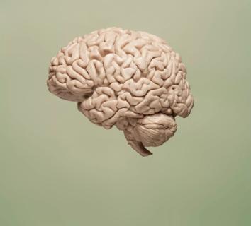 Floating brain on green background