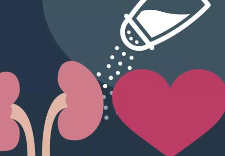 Illustration with a salt shaker, kidneys and heart