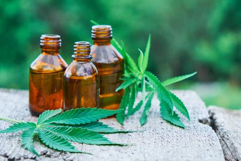 First Marijuana-Based Drug Approved for Treatment of Severe Forms of Epilepsy