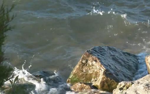 Shoreline