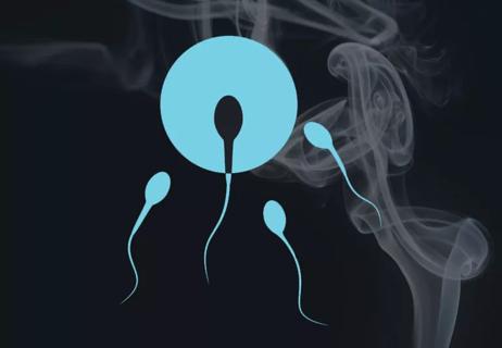 Sperm fertilizing egg with smoke in background