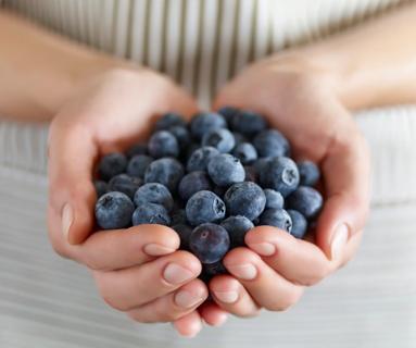 Person cupping blueberries in their hands