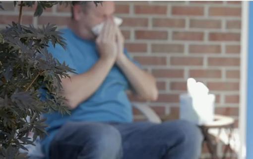 Person blowing their nose