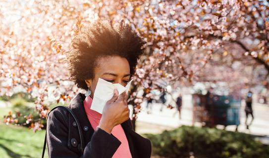 Person blowing their nose walking by blooming tree