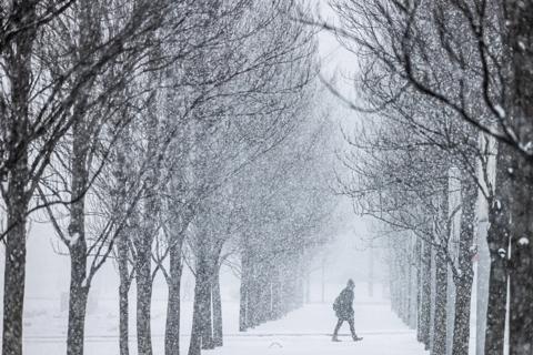 winter storm