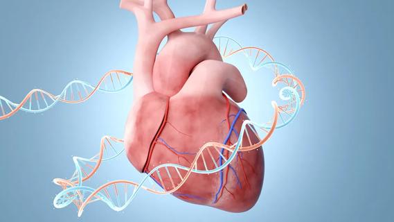 Heart with DNA helix