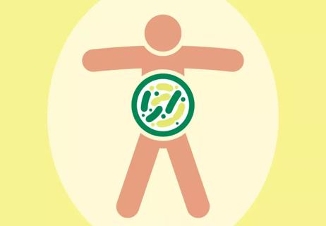 probiotics and probiotics and their effects