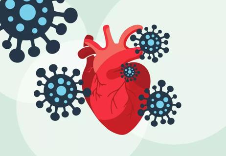 Coronavirus attacking heart