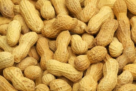 Roasted Peanuts, In Shell, Background, Heathy Eating, Food, Vegetable