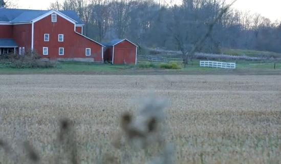 Image of barn