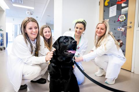 Nurses with therapy dog