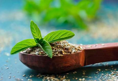 holy basil leaves, known as tulsi, on wooden spoon