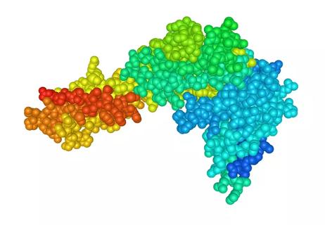 Crystal structure of mouse PD1 PDL2 complex 650&#215;450