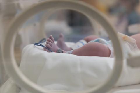Neonate's feet shown in incubator