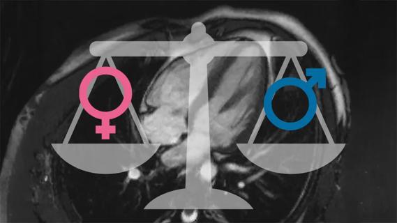 imaging study of the heart with scales of justice overlay balancing male and female symbols