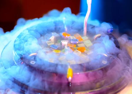 fertility preservation