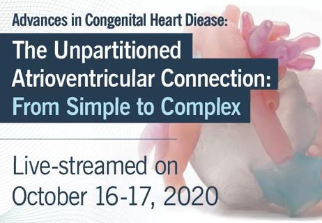 650&#215;450 Karamlou_Najm &#8211; Fall Advances in Congenital Heart Disease Summit