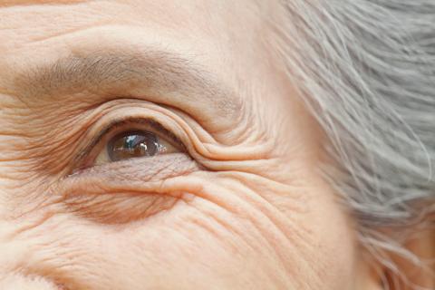 Close-up of older person's eye and heavily wrinkled skin around it