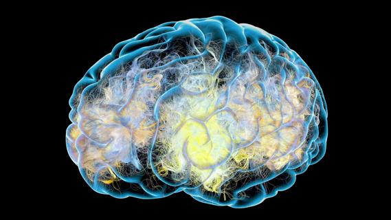illustration of human brain with swirls of activity inside it