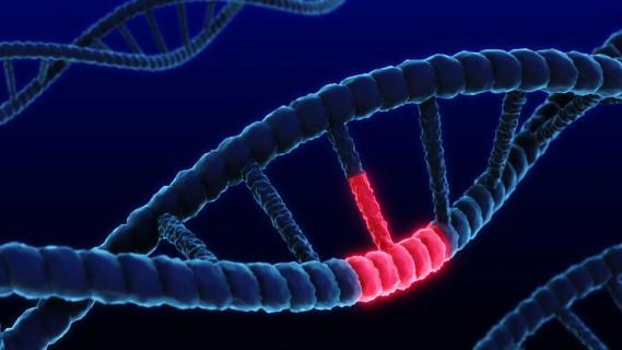 close up of gene illustration