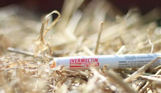 Tube of ivermectin paste lying on straw