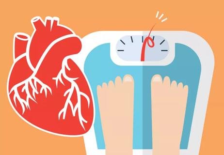 What is risk factor between weight and heart disease illustration