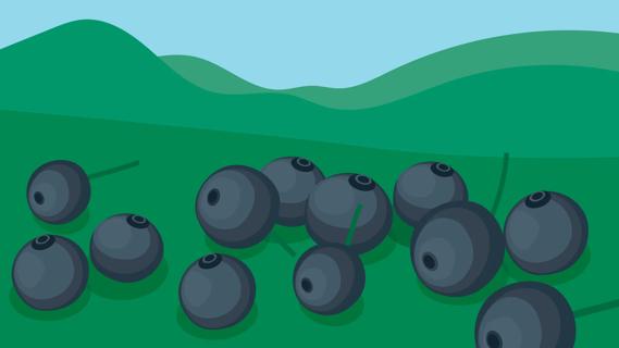 Black currants on green