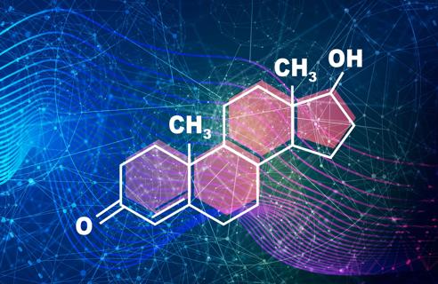 Testosterone molecule