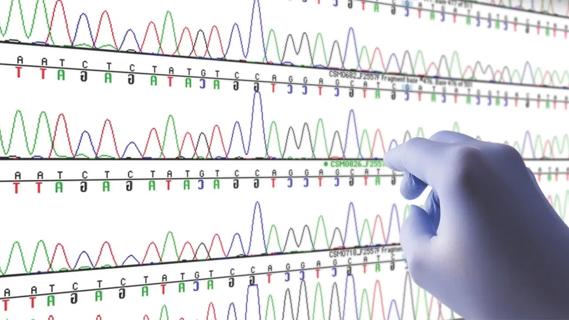 gloved hand tracing lines of a genetic analysis
