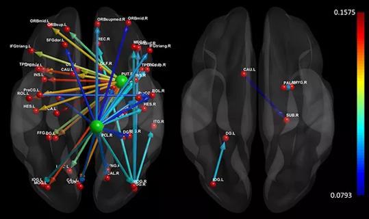 590x-Inset-2-Cordes-Olfaction