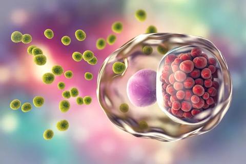 A molecular-level drawing of an STD