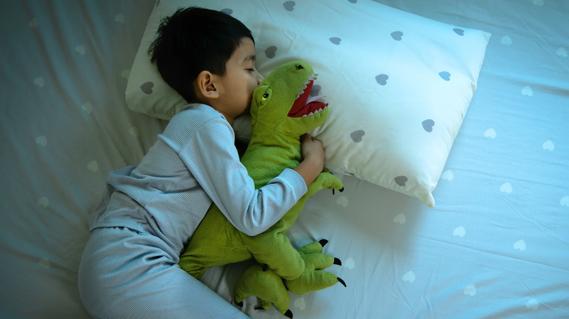 Young child sleeping with stuffed dinosour in their arms