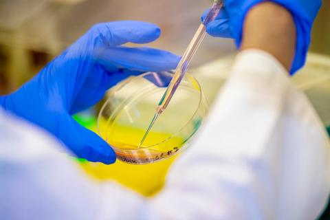 Lab research