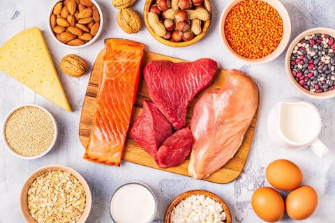Selection of high-protein foods, like salmon, chicken, lentils, eggs, nuts and dairy