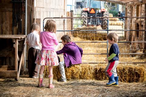 Children in a barn on a farm, standing and sitting on hay bales, petting an animal