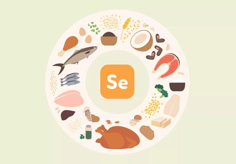 foods enriched with selenium