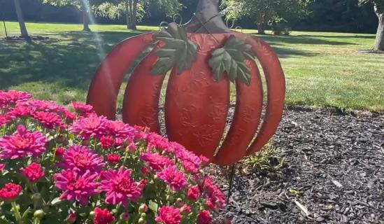 Pumpkin decoration