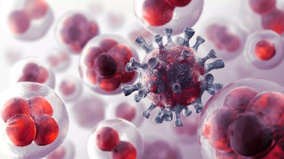 Cancer cells