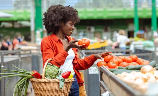 Person in grocery market with basket of fresh veggies picking out tomatoes