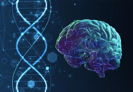 24-NEU-4528160-genetics-parkinson-disease-650&#215;450