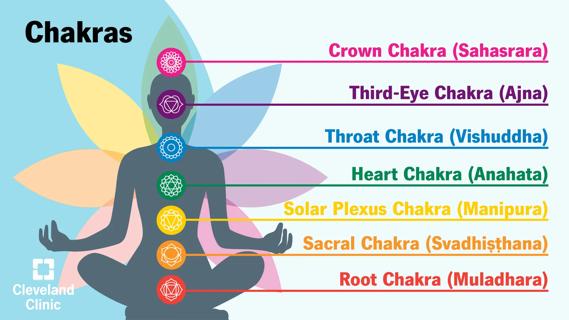 The seven chakras