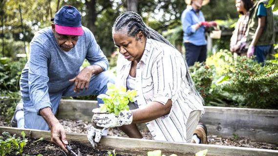 Two people working in a community garden