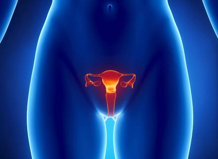Fibroids: Are They Making Sex Painful for You?