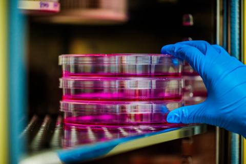 650&#215;450-Global-Center-for-Pathogen-Research-&#038;-Human-Health