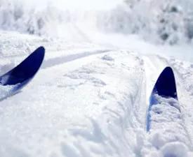 Skis in fresh snow