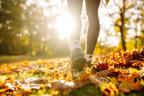 Legs and feet of person walking through leaves on grass outside