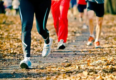 A group of adults racing on a path lined with autumn leaves.