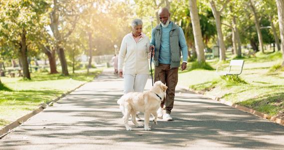 Couple walking their fluffy white dog outside